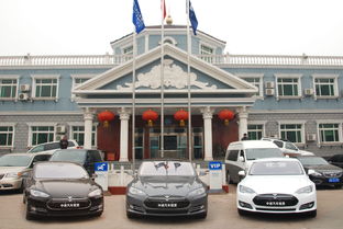 中進(jìn)汽車(chē)租賃穩(wěn)步推進(jìn)新能源汽車(chē)租賃業(yè)務(wù)